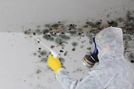 Best HVAC Mold Inspection and Cleaning  in , WI